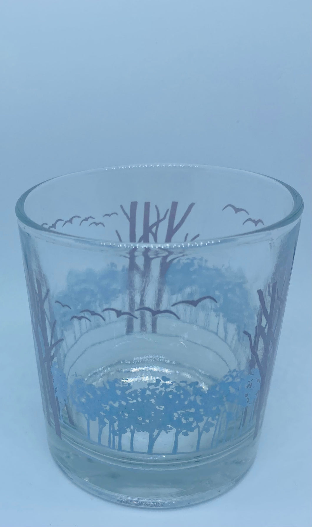 Set of 2 Preloved Purple & Blue Water Glass